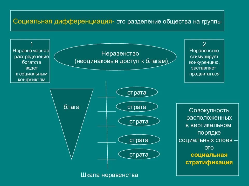 
    Пpaктическое занятие "Социальная стратификация и социальная мобильность в современном российском обществе" по обществознанию в 11-м классе (блок "Социология")

      