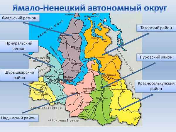 
    Тесты по истории Ямало-Ненецкого автономного округа

      