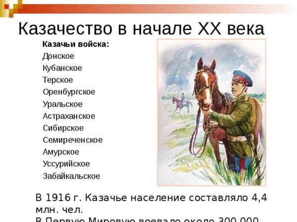 
    Программа элективного курса "Амурское казачество в XIX- XX веках"

      