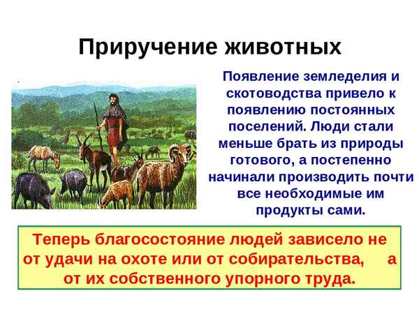 
    Открытый урок на тему "Возникновение земледелия и скотоводства"

      
